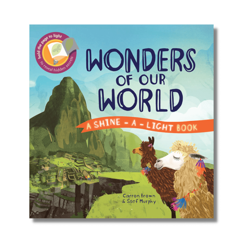 wonders - aidyns books - summer with covid